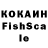 COCAIN Fish Scale Yaji