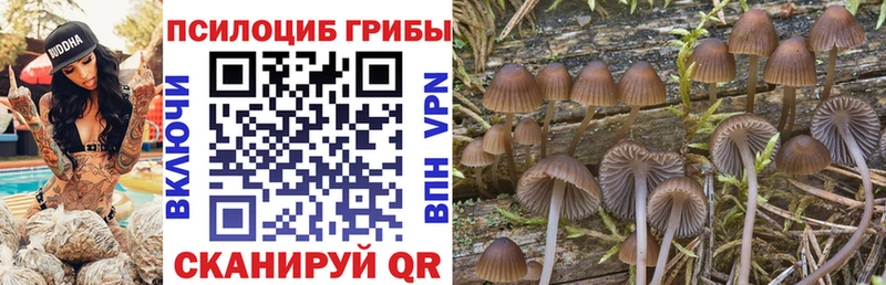 Псилоцибиновые грибы Cubensis что такое наркотик Ртищево